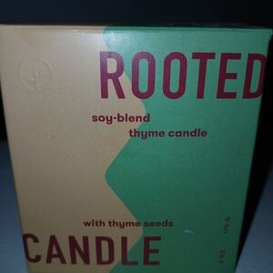 Modern Sprout Rooted Candle